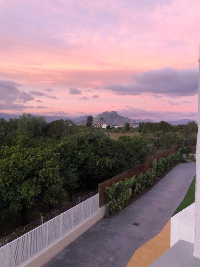 Sunny Apartment In Denia With Outdoor Swimming Pool And Garage Parking Place Included, 300M From The Sandy Beach Eksteriør bilde